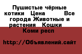 Пушистые чёрные котики › Цена ­ 100 - Все города Животные и растения » Кошки   . Коми респ.